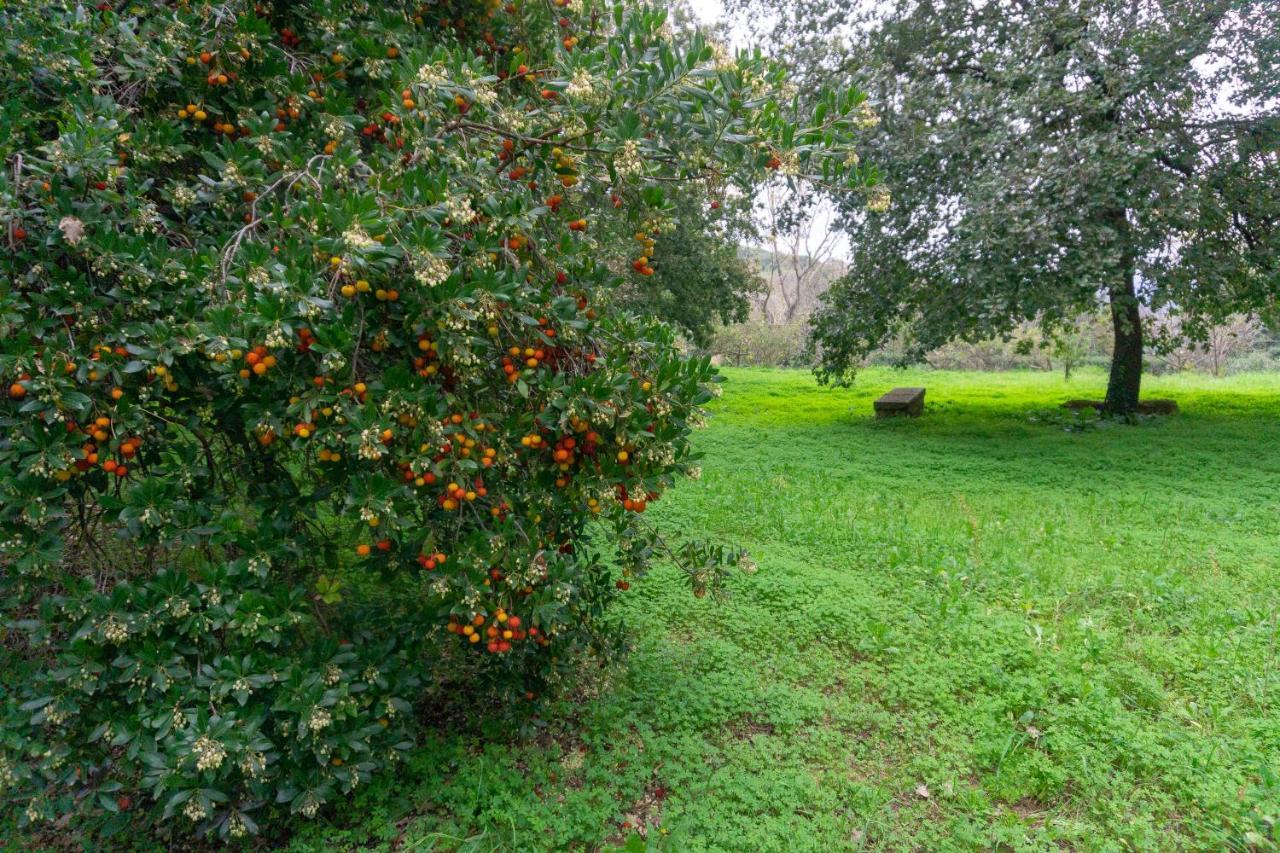 بياتْسا أرمارِنا Villa Trigona المظهر الخارجي الصورة